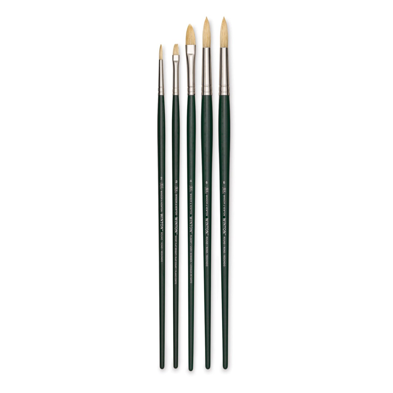 Winsor & Newton Winton Hog Bristle Brushes - Assorted, Pkg of 5